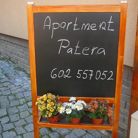 Patera *