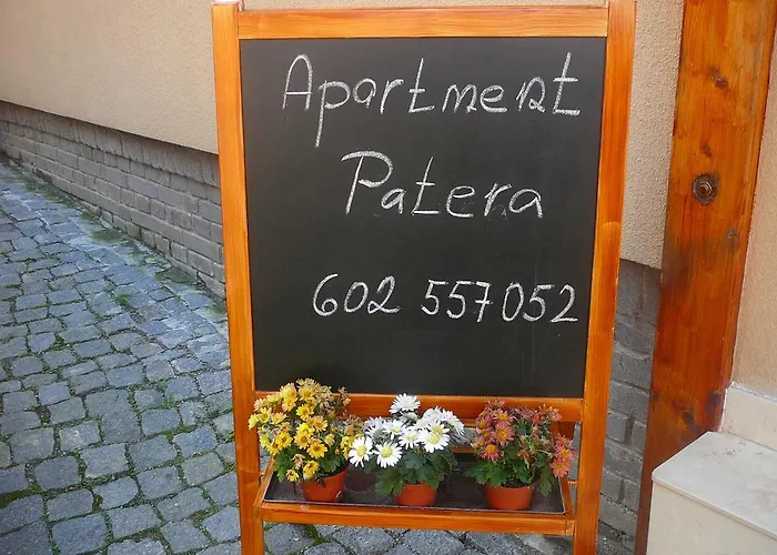 Patera *